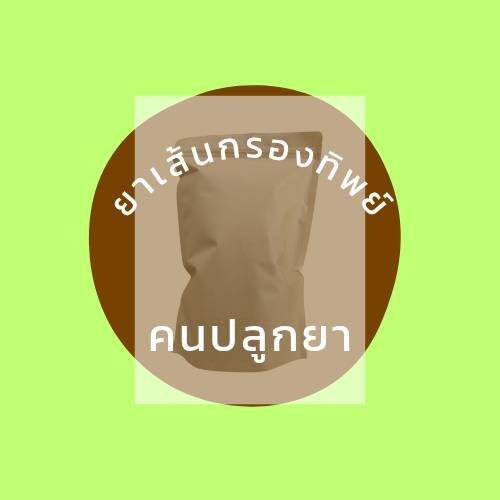 ยาเส้นฉุน 1000 กรัม กรองทิพย